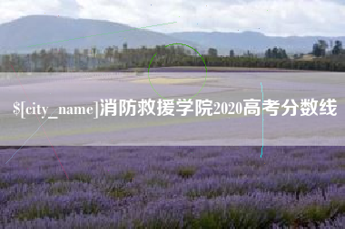 广汉消防救援学院2020高考分数线