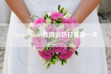 广汉我国消防日是哪一天