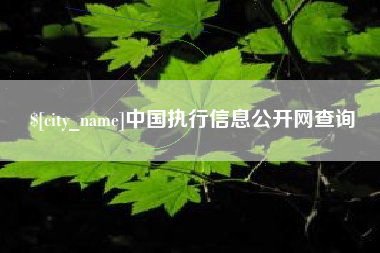 广汉中国执行信息公开网查询