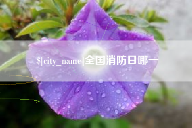 广汉全国消防日哪一