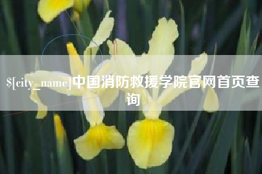 广汉中国消防救援学院官网首页查询