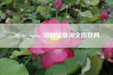 广汉消防证查询全国联网