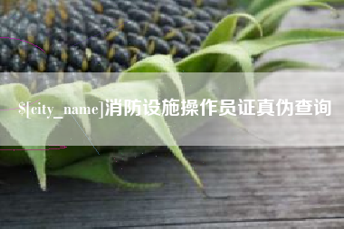 广汉消防设施操作员证真伪查询