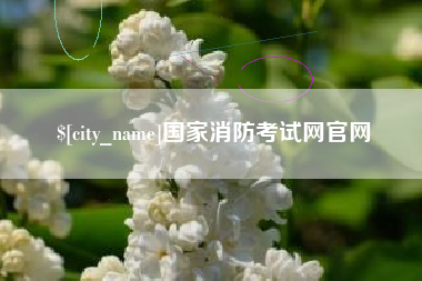 广汉国家消防考试网官网