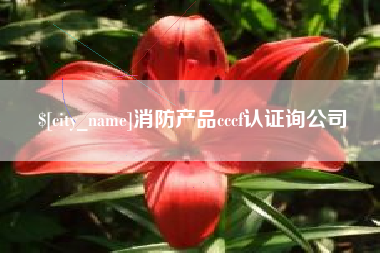 广汉消防产品cccf认证询公司