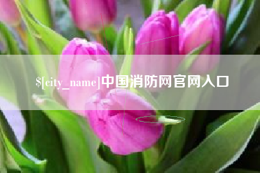 广汉中国消防网官网入口