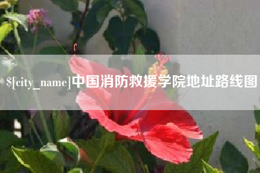 广汉中国消防救援学院地址路线图
