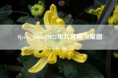 广汉2022年九宫格飞星图