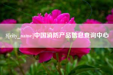 广汉中国消防产品信息查询中心