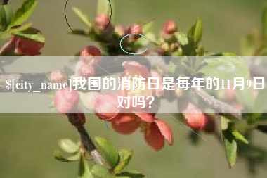 广汉我国的消防日是每年的11月9日对吗？