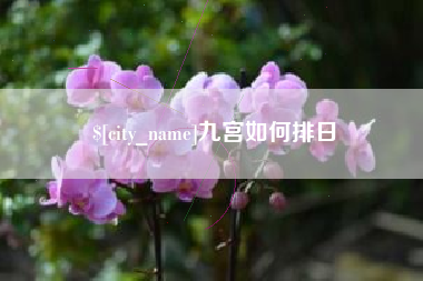 广汉九宫如何排日