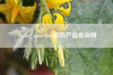 广汉ccc消防产品查询网