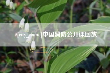 广汉中国消防公开课回放