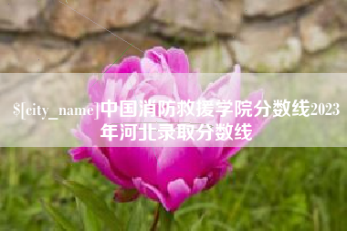 广汉中国消防救援学院分数线2023年河北录取分数线