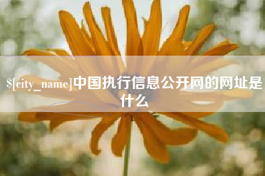 广汉中国执行信息公开网的网址是什么