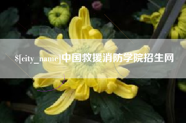 广汉中国救援消防学院招生网