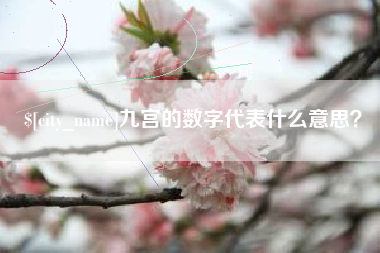 广汉九宫的数字代表什么意思？