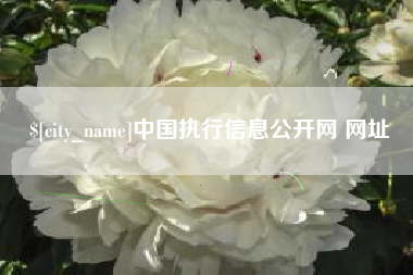 广汉中国执行信息公开网 网址