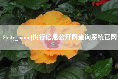 广汉执行信息公开网查询系统官网