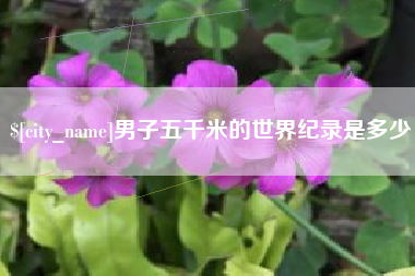 广汉男子五千米的世界纪录是多少