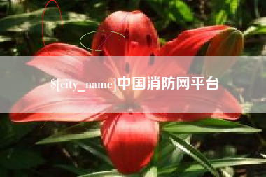 广汉中国消防网平台