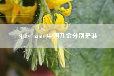 广汉中国九金分别是谁