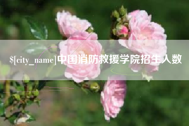 广汉中国消防救援学院招生人数