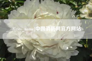 广汉中国消防网官方网站