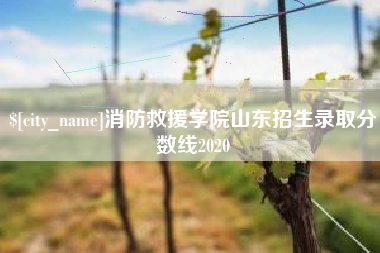 广汉消防救援学院山东招生录取分数线2020
