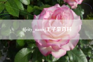 广汉王子豪百科