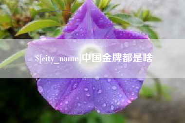 广汉中国金牌都是啥