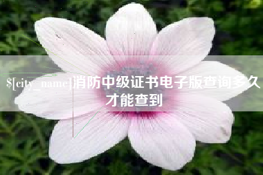 广汉消防中级证书电子版查询多久才能查到