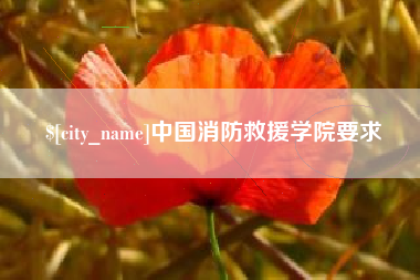 广汉中国消防救援学院要求