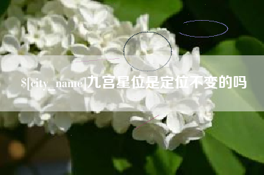 广汉九宫星位是定位不变的吗