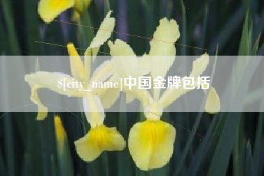 广汉中国金牌包括