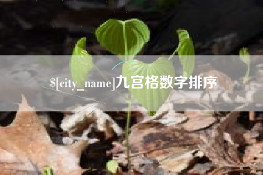 广汉九宫格数字排序