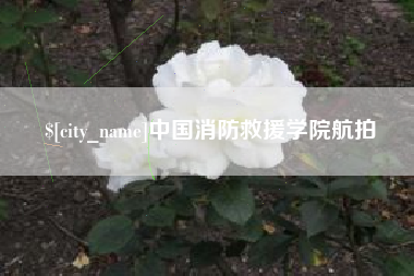 广汉中国消防救援学院航拍