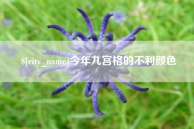 广汉今年九宫格的不利颜色
