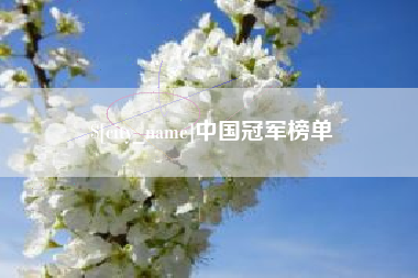广汉中国冠军榜单