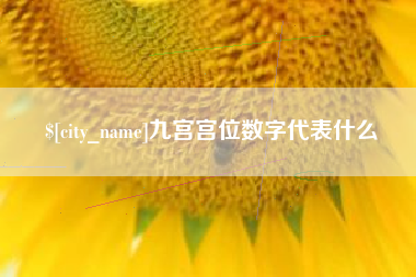 广汉九宫宫位数字代表什么