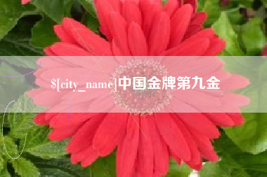 广汉中国金牌第九金