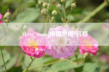 广汉中国地图9宫格