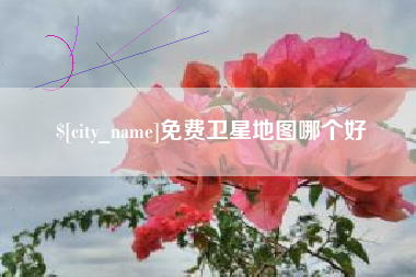 广汉免费卫星地图哪个好