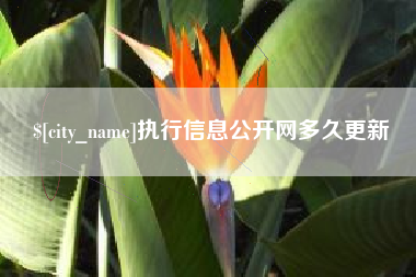 广汉执行信息公开网多久更新