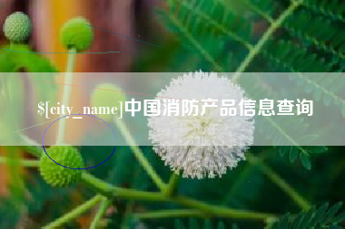 广汉中国消防产品信息查询