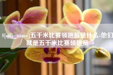 广汉五千米比赛领跑员是什么-他们就是五千米比赛领跑员