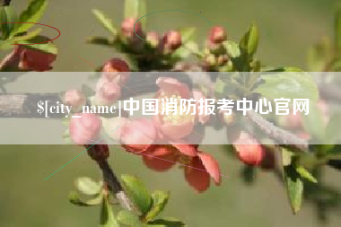 广汉中国消防报考中心官网