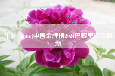 广汉中国金牌榜2024巴黎奥运会最新