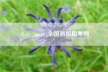 广汉全国消防招考网