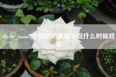 广汉中国消防救援学院什么时候政审